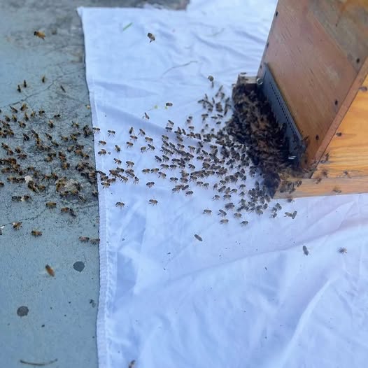 Aucune description de photo disponible.