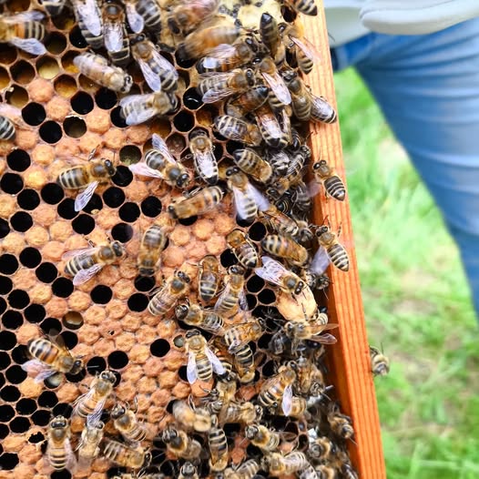 Aucune description de photo disponible.