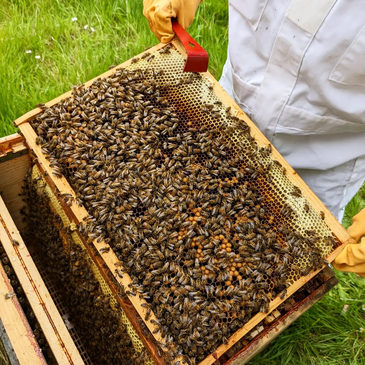 Aucune description de photo disponible.