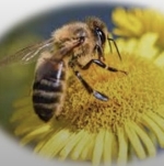 Avatar de l’utilisateur/utilisatrice